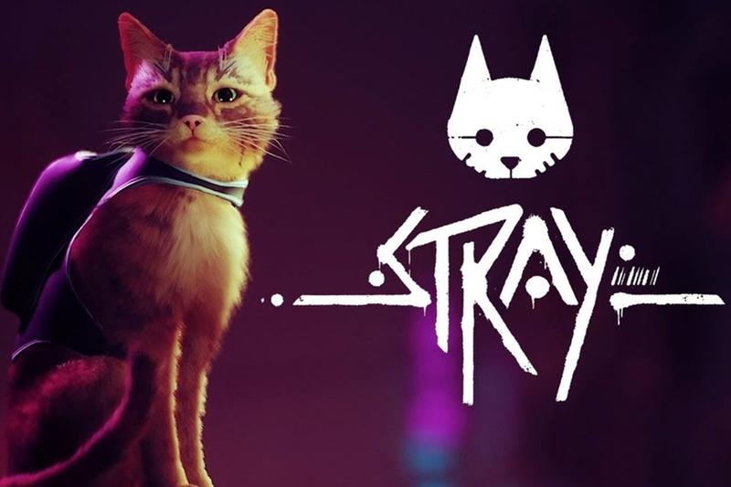 Stray: hóa thân thành chú mèo