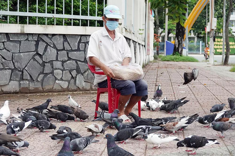 Người đàn ông 10 năm 'cưu mang' đàn chim trời giữa lòng Tây Đô