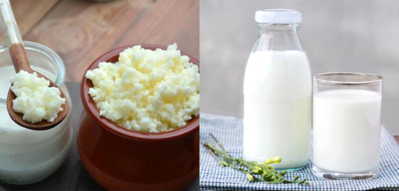 Kefir là gì? Công dụng, lợi ích & cách làm sữa chua từ nấm Kefir